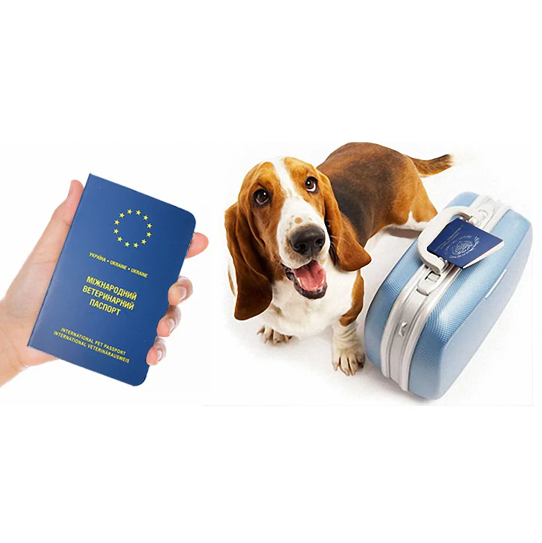 Travel Accessories Pets Products Pet Passport Cover European Cover Passport for Pet Dog Cat Top Merken Winkel